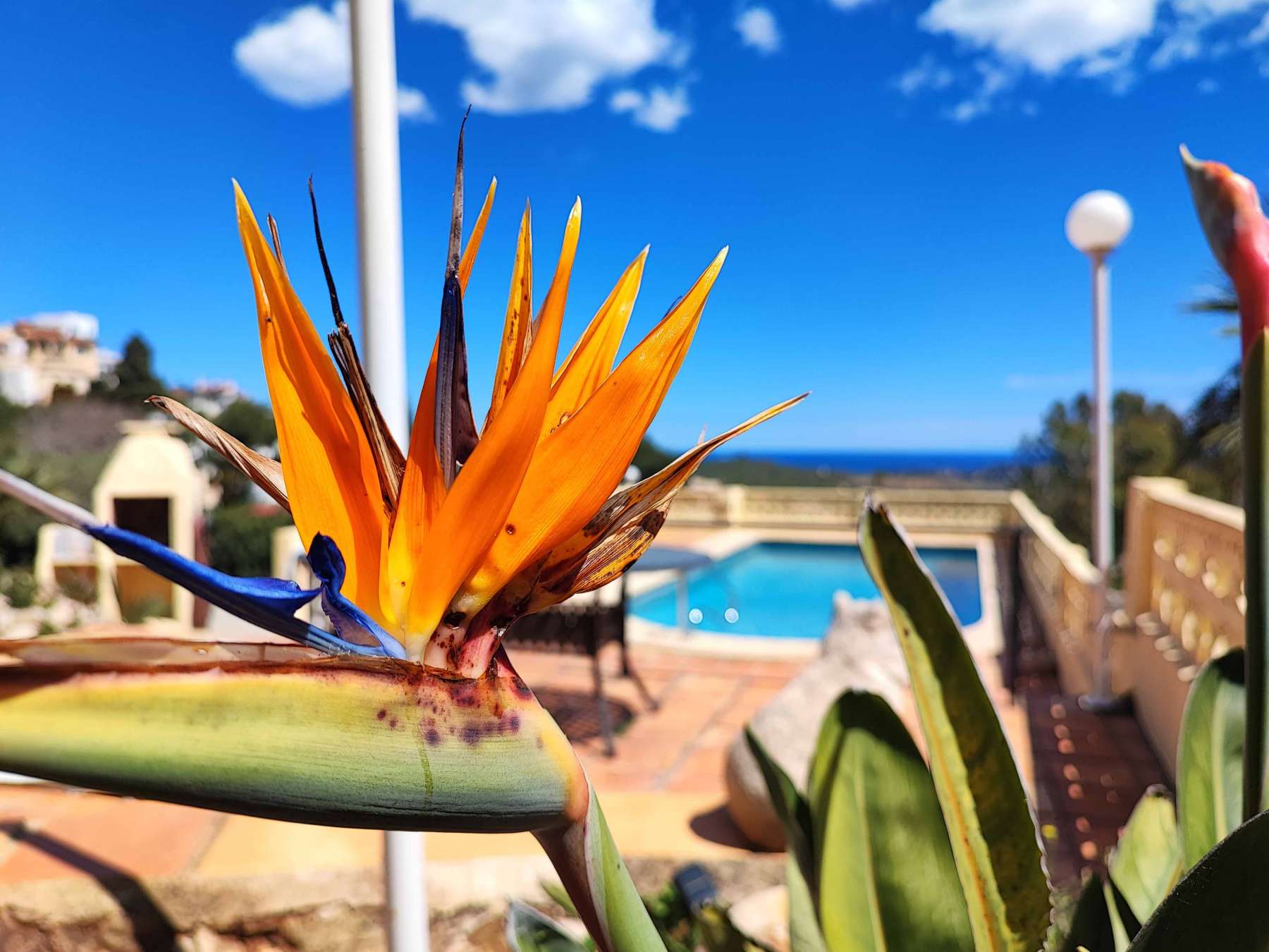 20250417070811000000_Villa-Cumbre-el-Sol--44