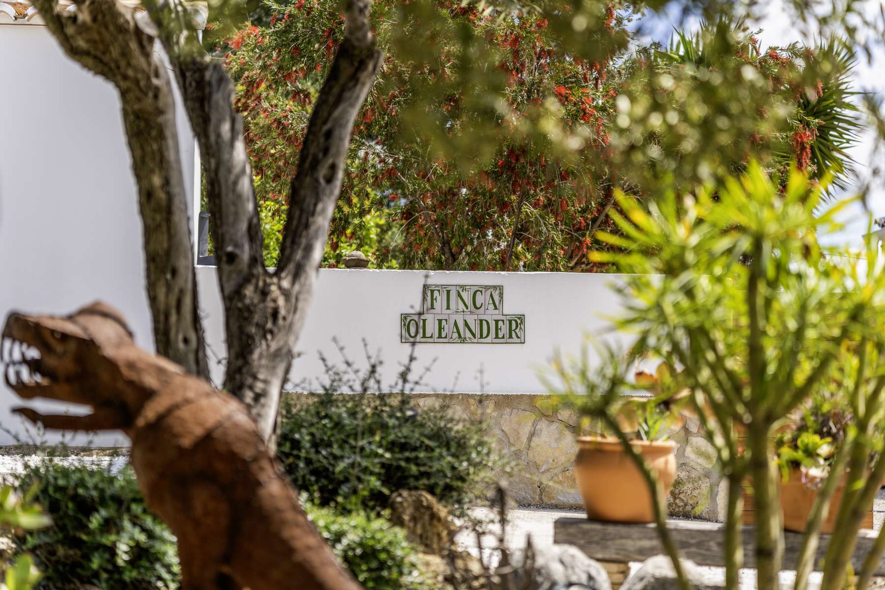 20250508101025000000_DSC8422