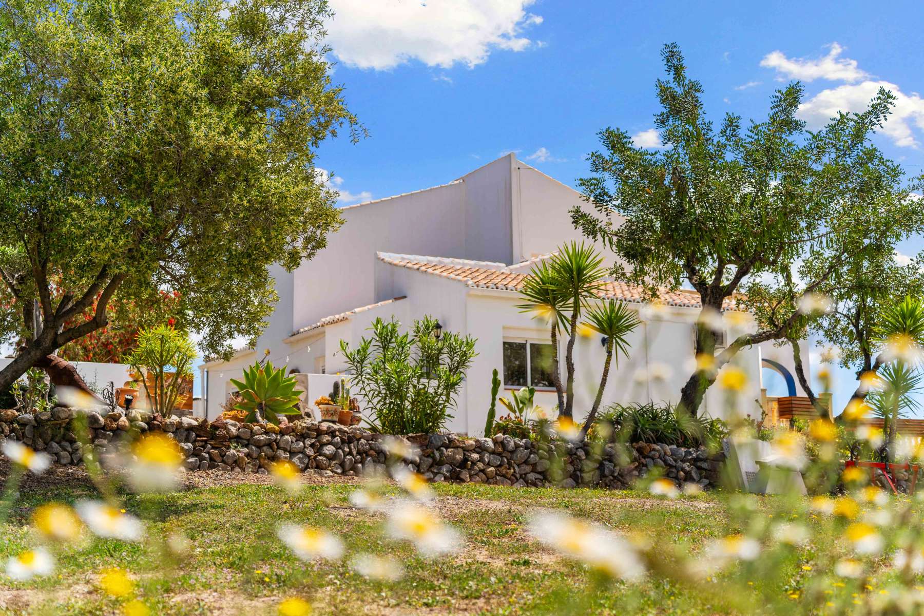 20250508102903000000_Finca-Oleander-57